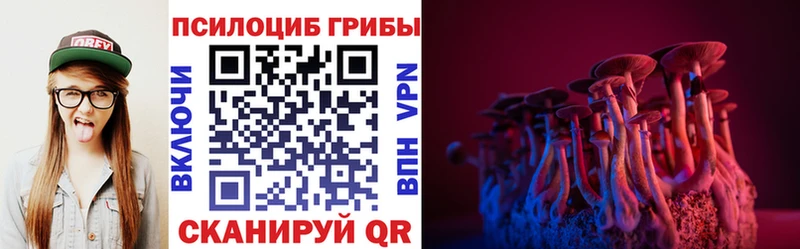 Псилоцибиновые грибы мицелий  omg ССЫЛКА  Опочка 